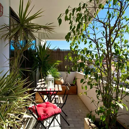Spacious In With Terrace Apartment *