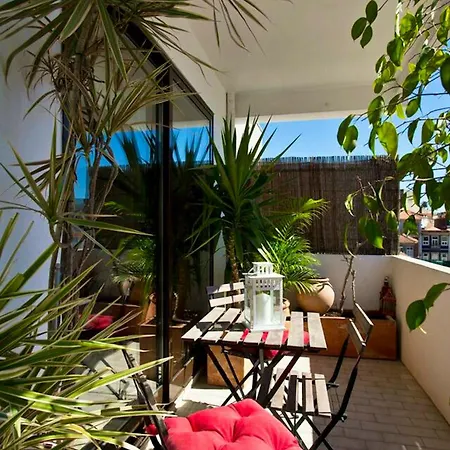 Apartment Spacious In With Terrace